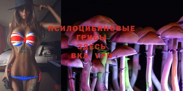 крисы Медвежьегорск