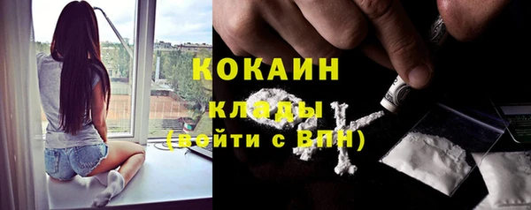 крисы Медвежьегорск