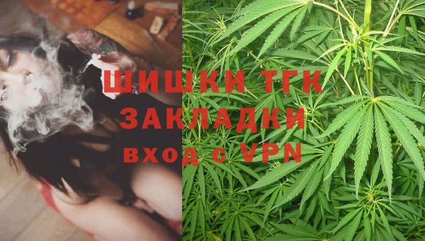 крисы Медвежьегорск