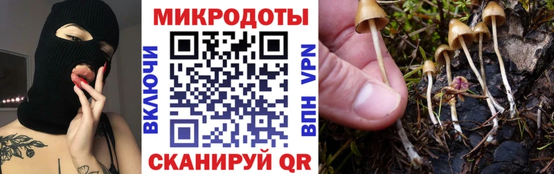 Галлюциногенные грибы мухоморы  Купить где  Армавир 