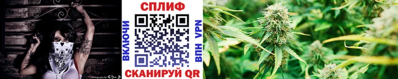 Конопля семена Армавир